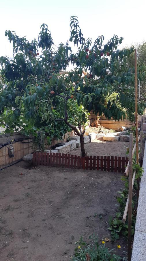Appartamento Orticello Cala Gonone Ngoại thất bức ảnh